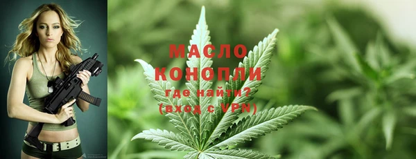 сатива Абинск