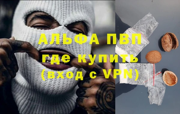 сатива Абинск