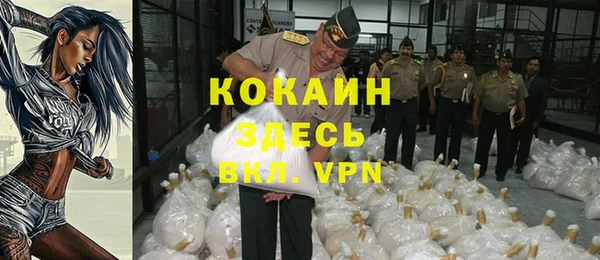 сатива Абинск