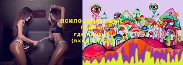 сатива Абинск